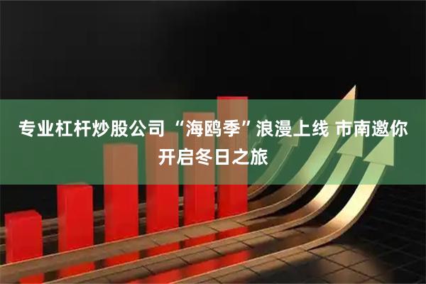 专业杠杆炒股公司 “海鸥季”浪漫上线 市南邀你开启冬日之旅
