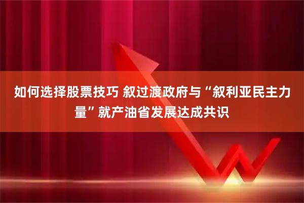 如何选择股票技巧 叙过渡政府与“叙利亚民主力量”就产油省发展达成共识